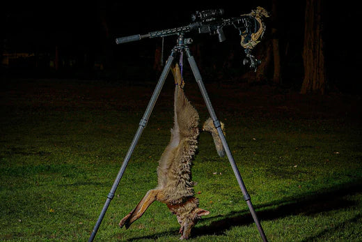 A Coyote Hunter's Take: Why the Stronghold Carbon Fiber Shooting Tripod is My New Favorite Piece of Gear [REVIEW]